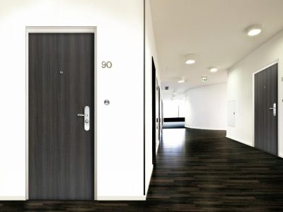 picard-ei30-zebrano-gris-cendre-hd-jpg-900x600-2